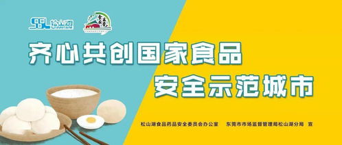 創食安城，食安守護——松山湖食品安全體驗活動邀您共筑健康生活