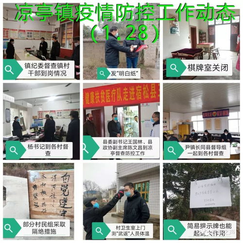 涼亭鎮疫情防控 一張拼圖，一方平安——記涼亭鎮疫情防控工作動態網頁設計